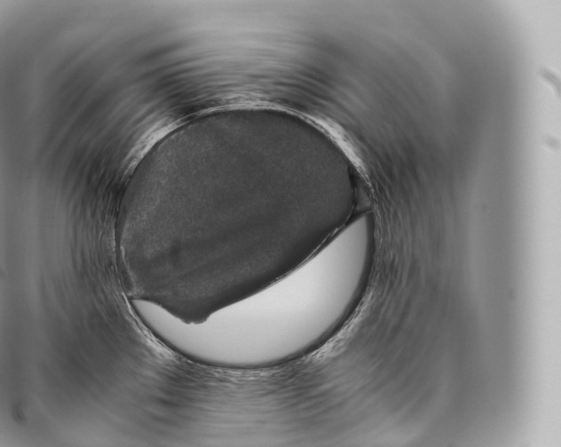 X0000096481289200802141713