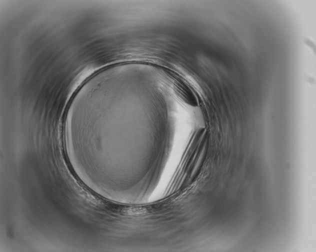 X0000096481291200802141713