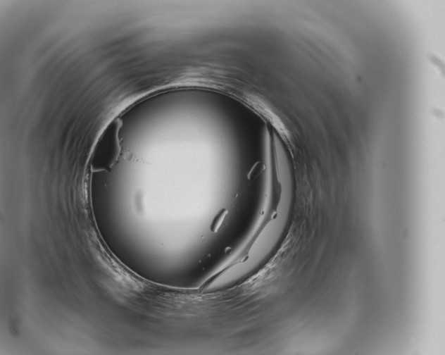 X0000096481292200802141713