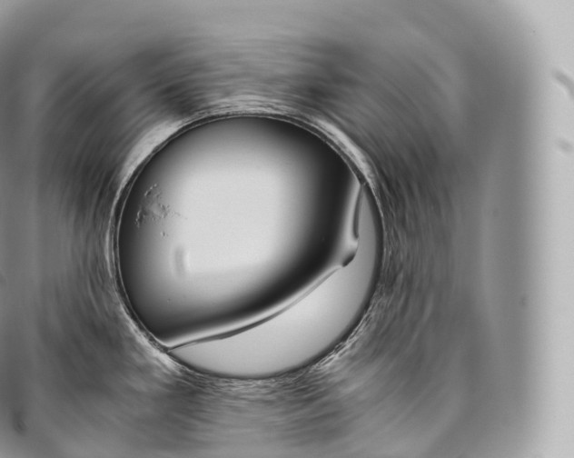 X0000096481293200802141713