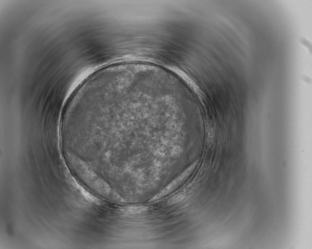 X0000096481294200802141713