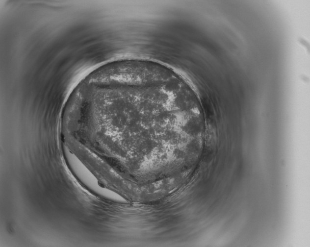 X0000096481295200802141713