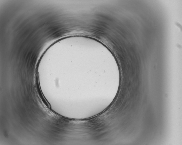 X0000096481296200802141713