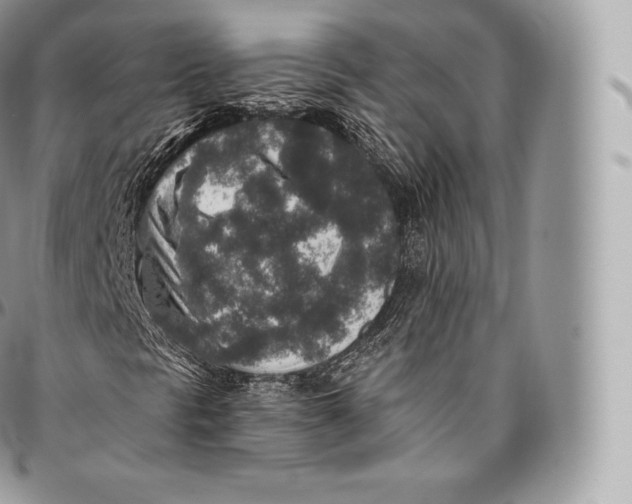 X0000096481297200802141712