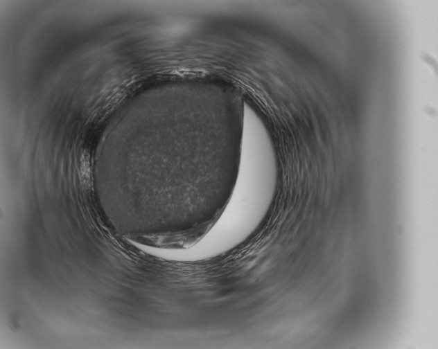 X0000096481298200802141712