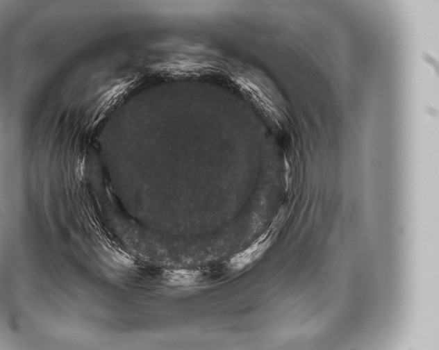 X0000096481300200802141712