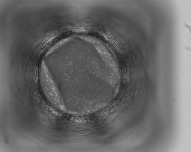 X0000096481301200802141712