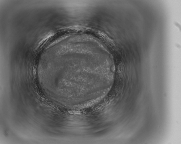 X0000096481302200802141712