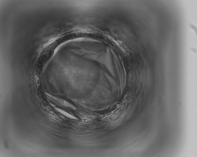 X0000096481303200802141712