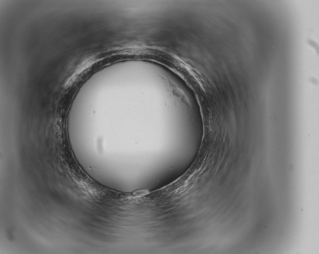 X0000096481304200802141712