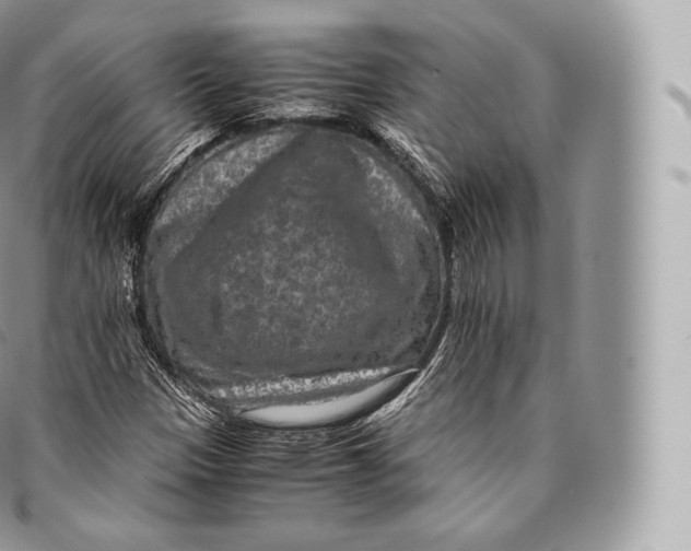 X0000096481305200802141712