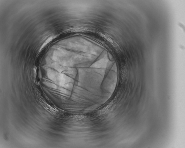 X0000096481306200802141712