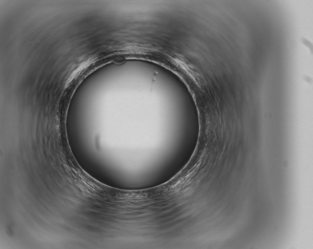 X0000096481307200802141712