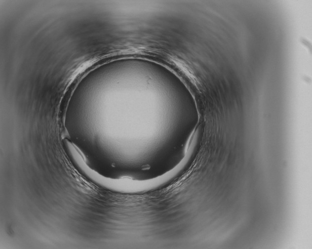 X0000096481308200802141712