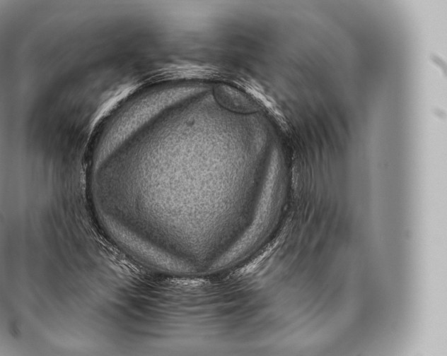 X0000096481309200802141712