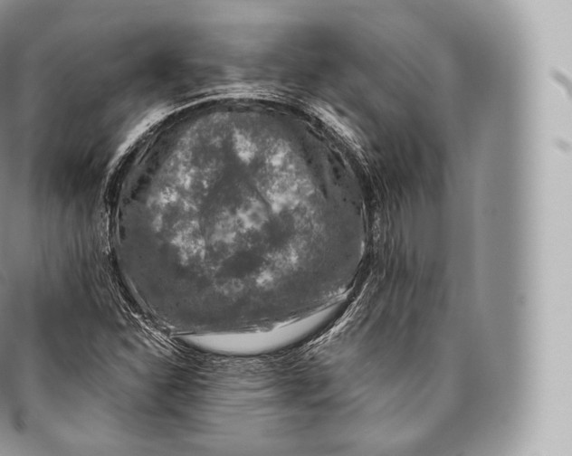 X0000096481310200802141712