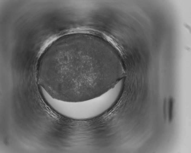 X0000096481312200802141712