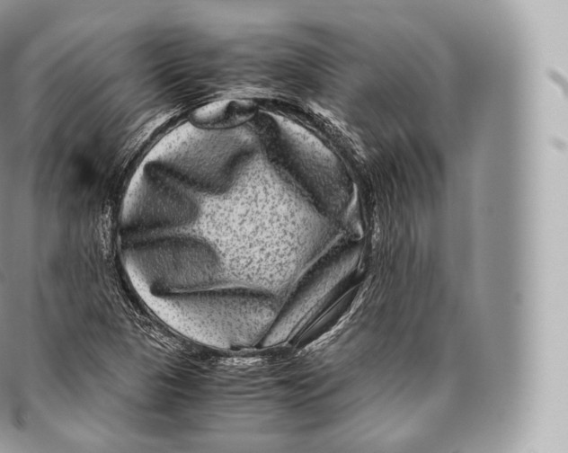 X0000096481313200802141712