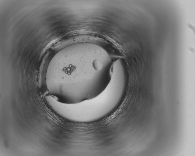 X0000096481314200802141712