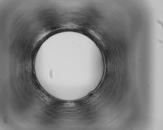 X0000096481315200802141712