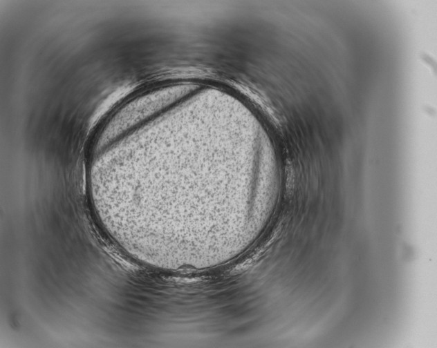 X0000096481317200802141712