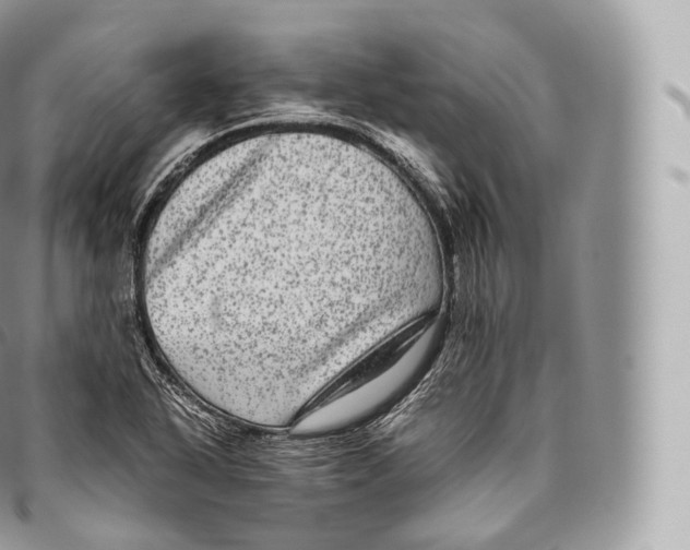 X0000096481318200802141712