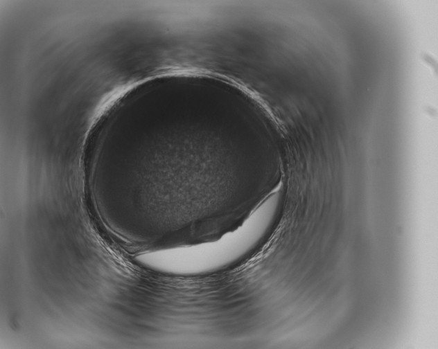 X0000096481319200802141712