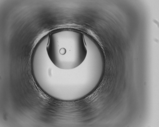 X0000096481320200802141712