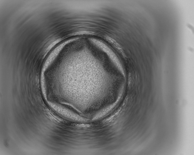 X0000096481321200802141712