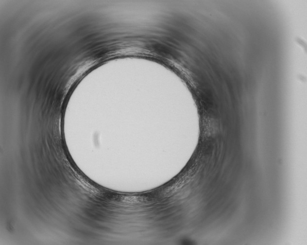 X0000096481322200802141712