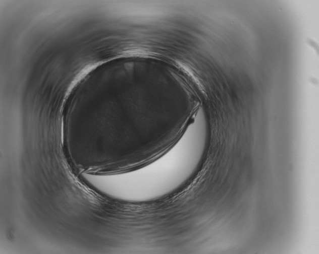 X0000096481323200802141712