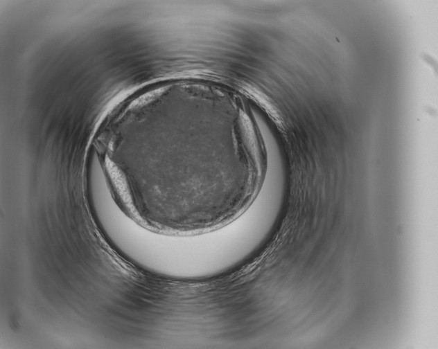 X0000096481324200802141712