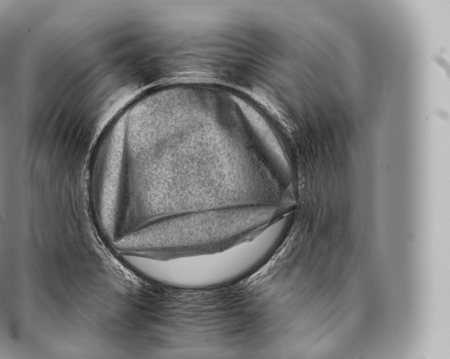 X0000096481325200802141712