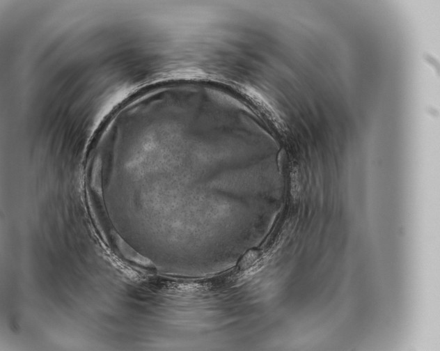 X0000096481326200802141712