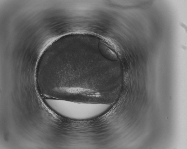 X0000096481327200802141712