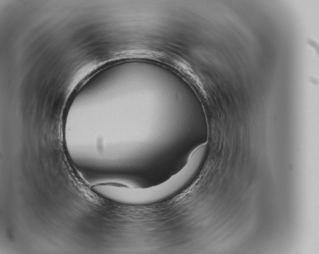 X0000096481328200802141712