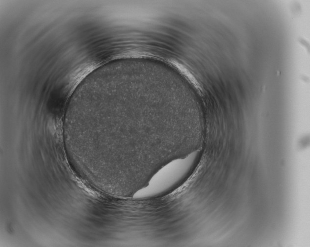 X0000096481329200802141712