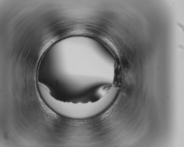 X0000096481330200802141712