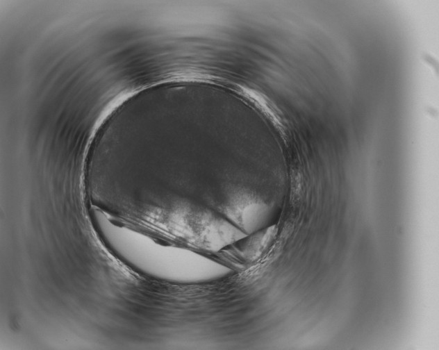 X0000096481331200802141712