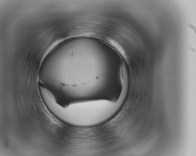 X0000096481332200802141712