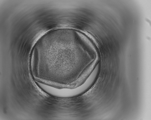 X0000096481333200802141712