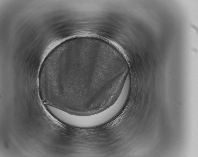 X0000096481335200802141712