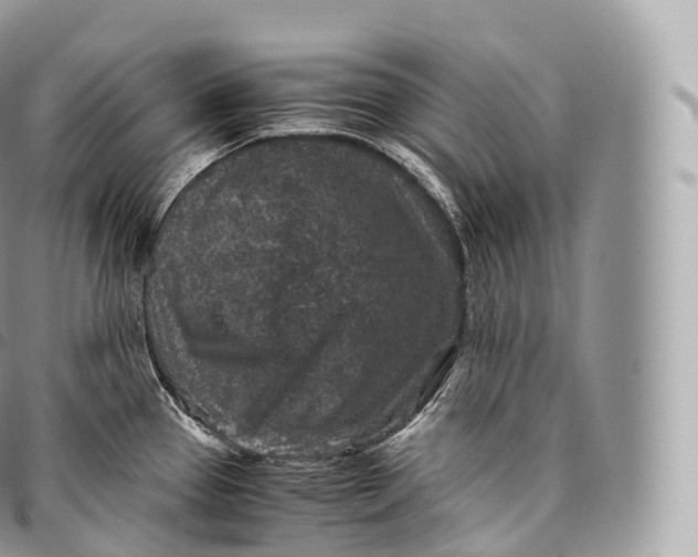 X0000096481337200802141712