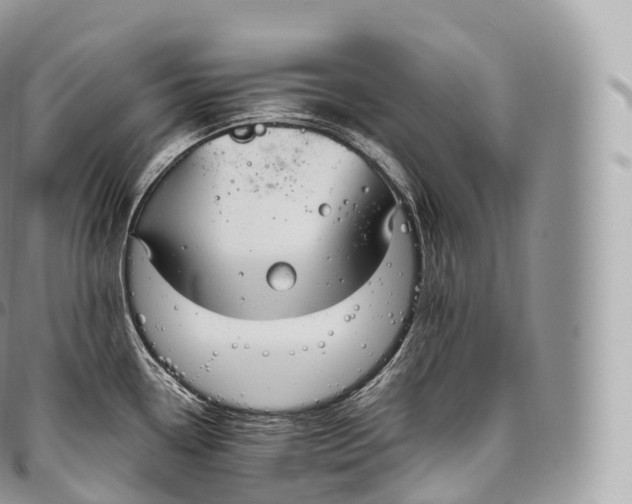 X0000096481338200802141712