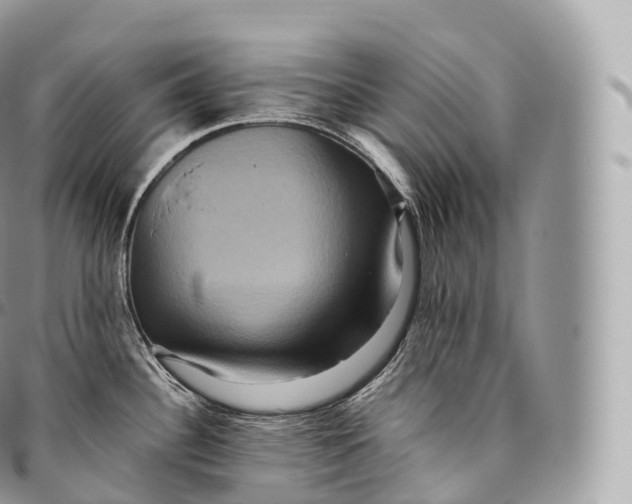 X0000096481340200802141712