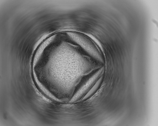 X0000096481341200802141713