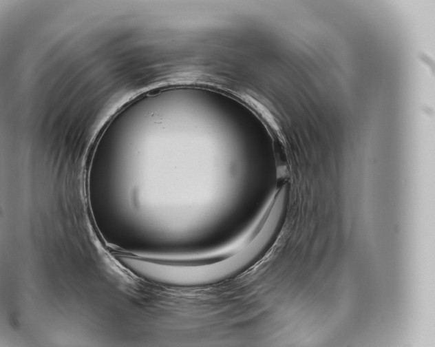 X0000096481342200802141713