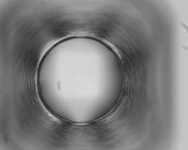 X0000096481343200802141713