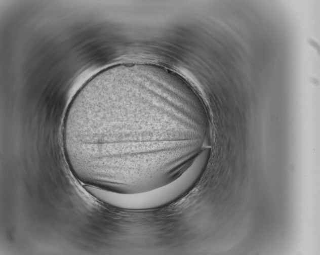 X0000096481344200802141713