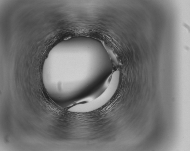 X0000096481345200802141712